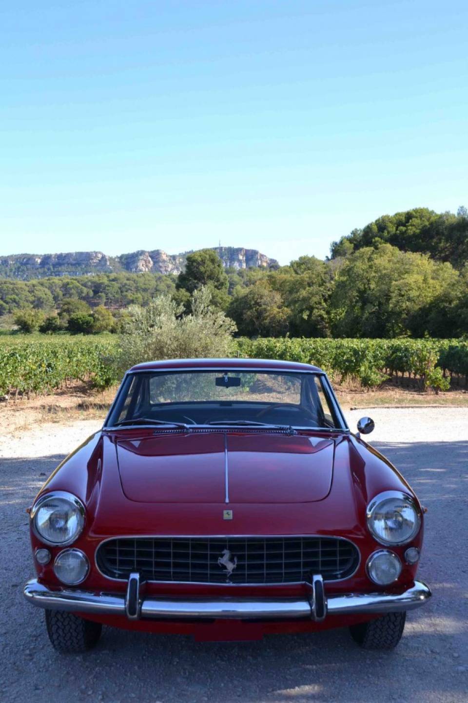 ferrari 330 america